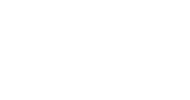 Camelback logo